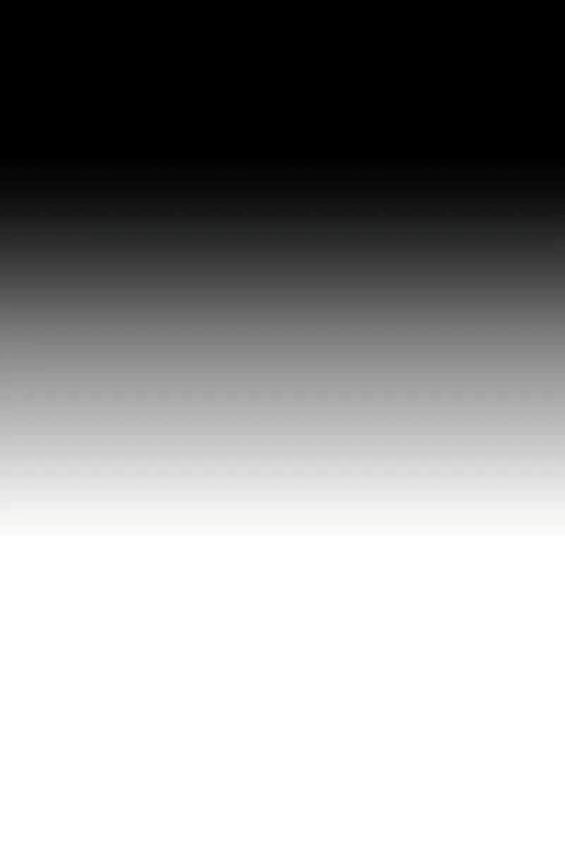 الصفحة 12 من 169