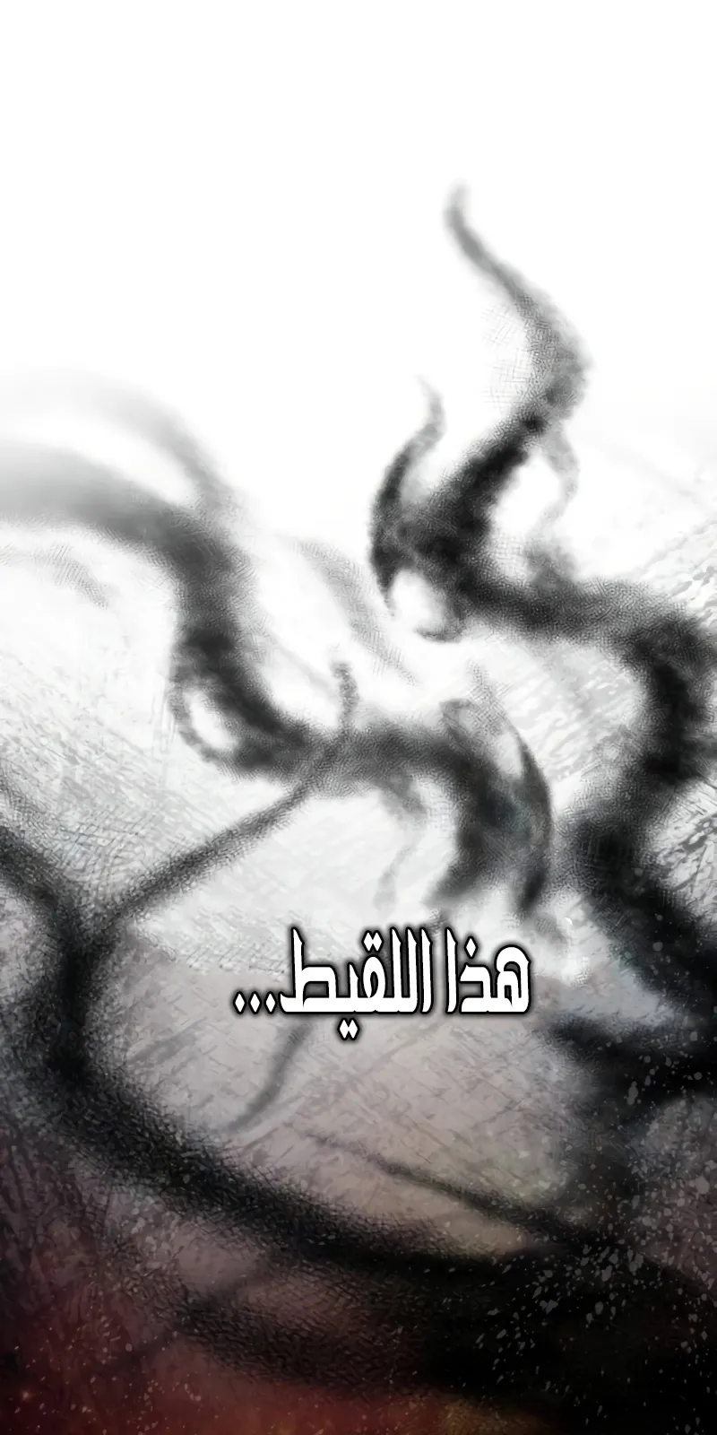 الصفحة 144 من 169