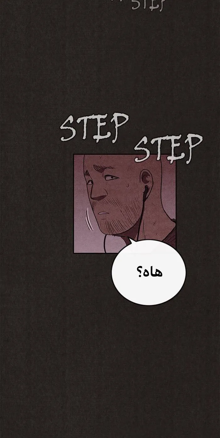 الصفحة 28 من 72