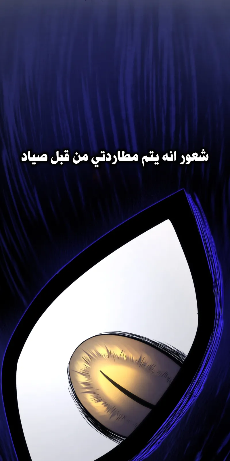 الصفحة 11 من 90