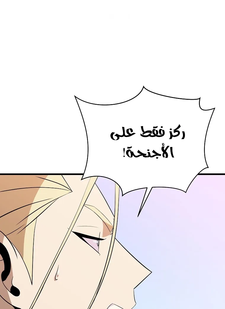 الصفحة 56 من 80