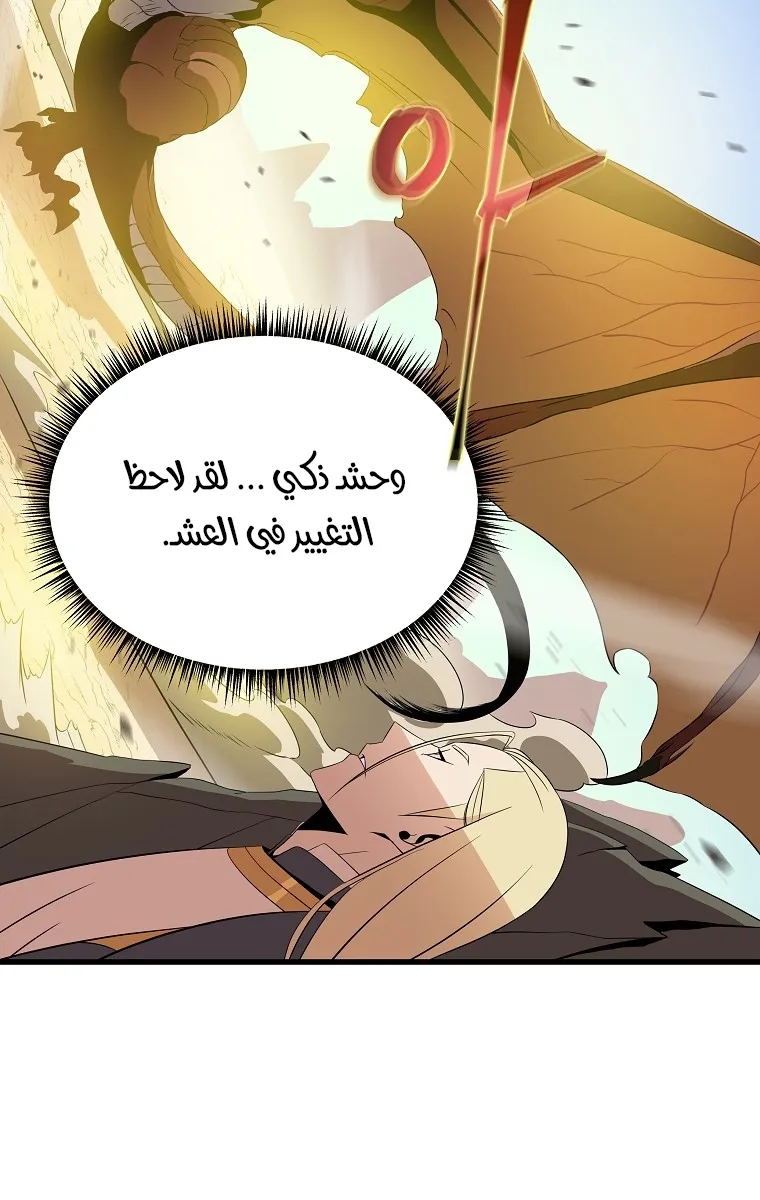 الصفحة 31 من 80