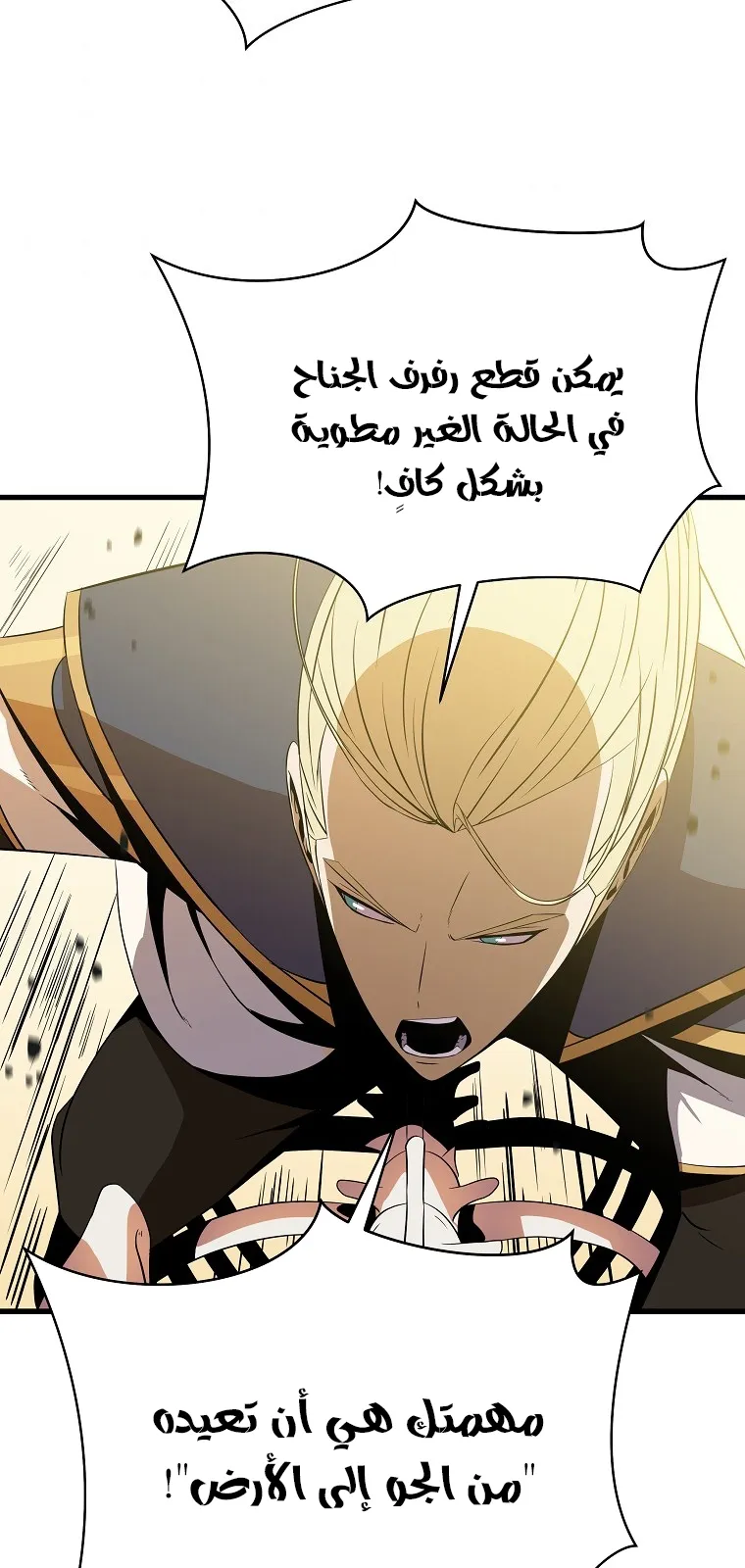 الصفحة 41 من 80