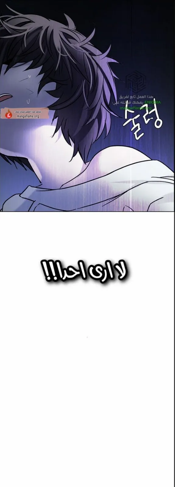الصفحة 51 من 65