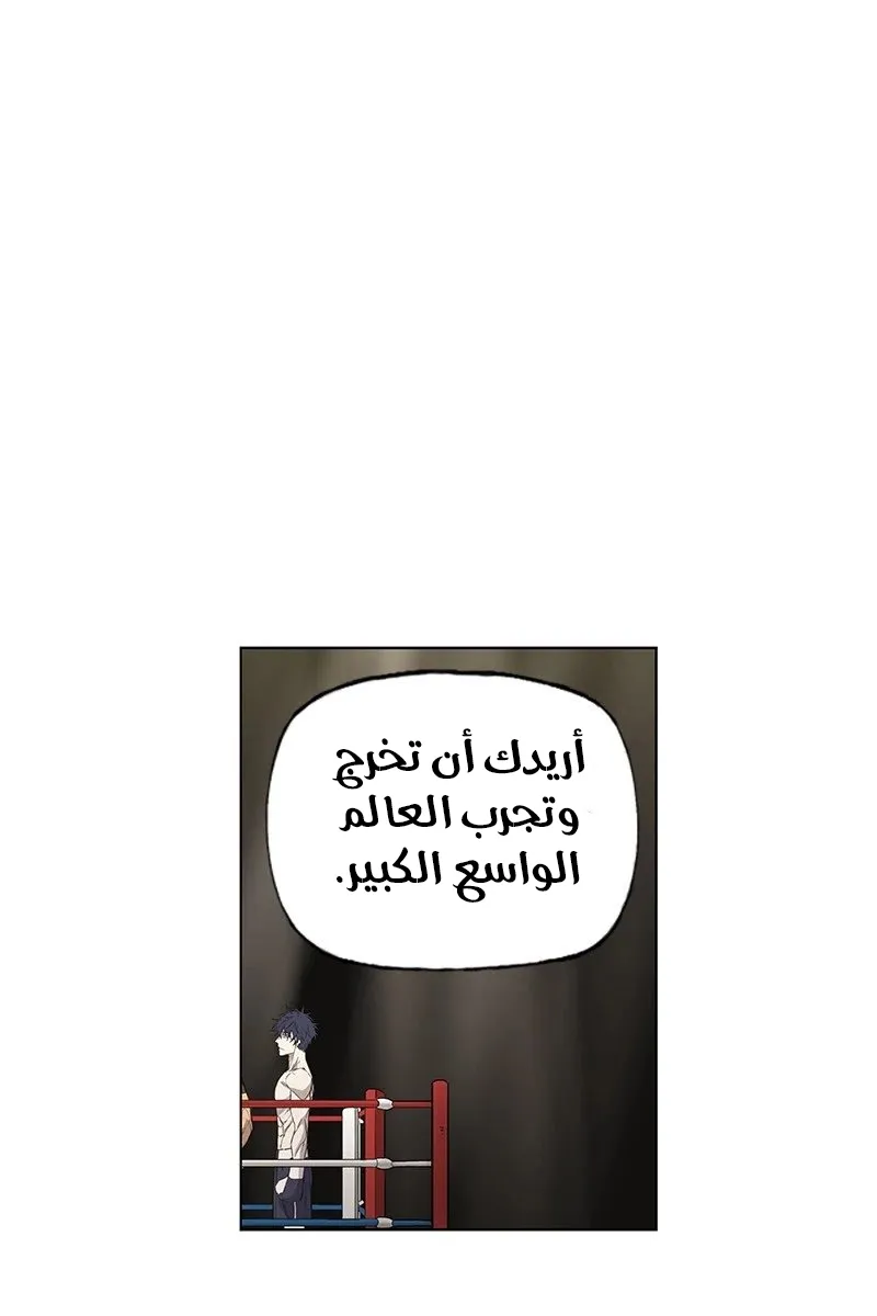 الصفحة 54 من 80