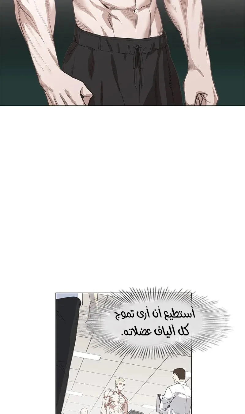 الصفحة 26 من 80