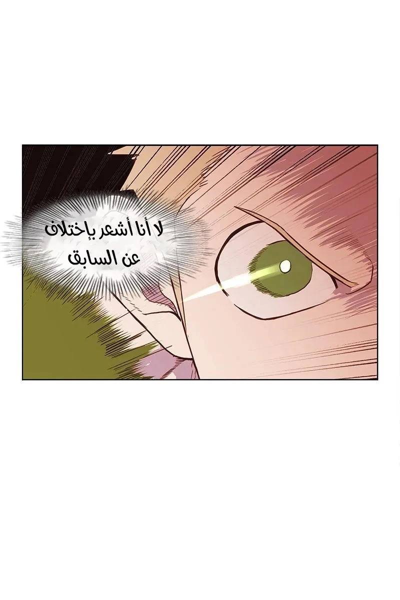 الصفحة 73 من 80