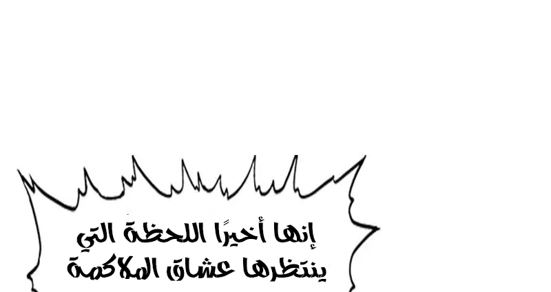 الصفحة 40 من 80