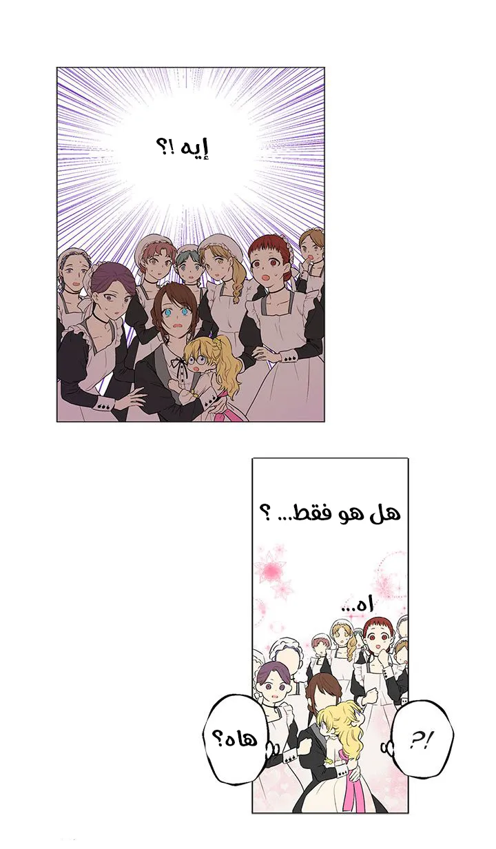 الصفحة 24 من 42