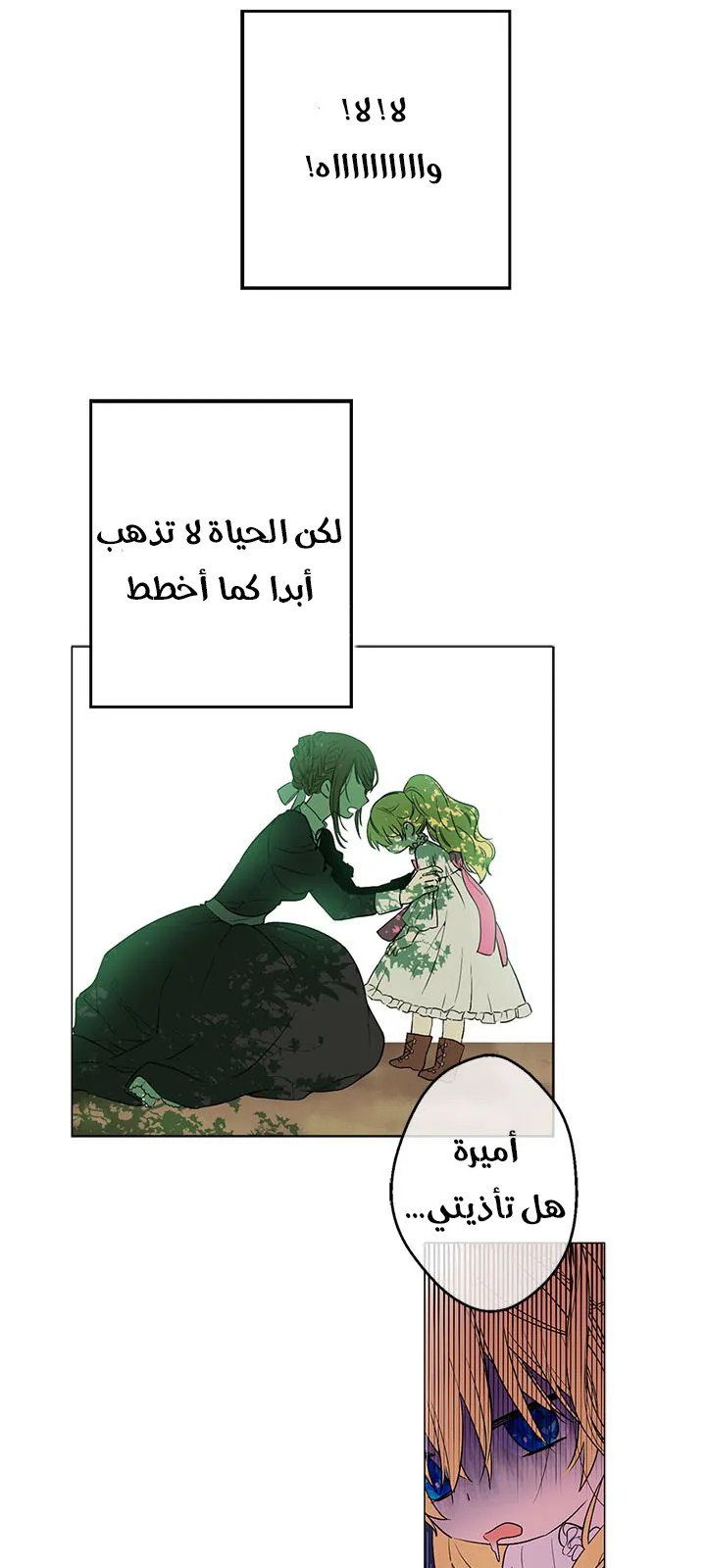الصفحة 26 من 42