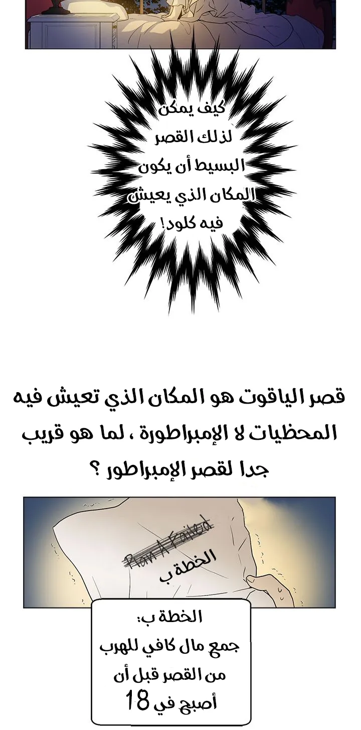 الصفحة 31 من 42