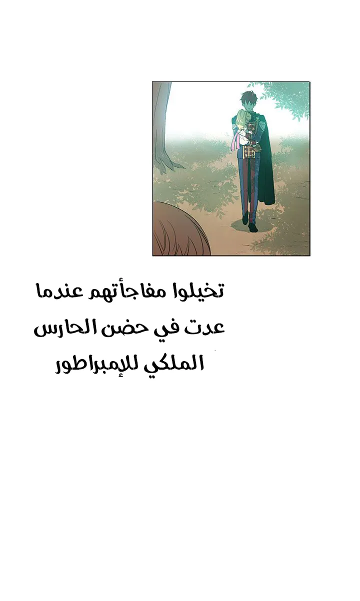 الصفحة 20 من 42