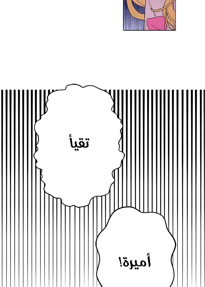 الصفحة 27 من 42