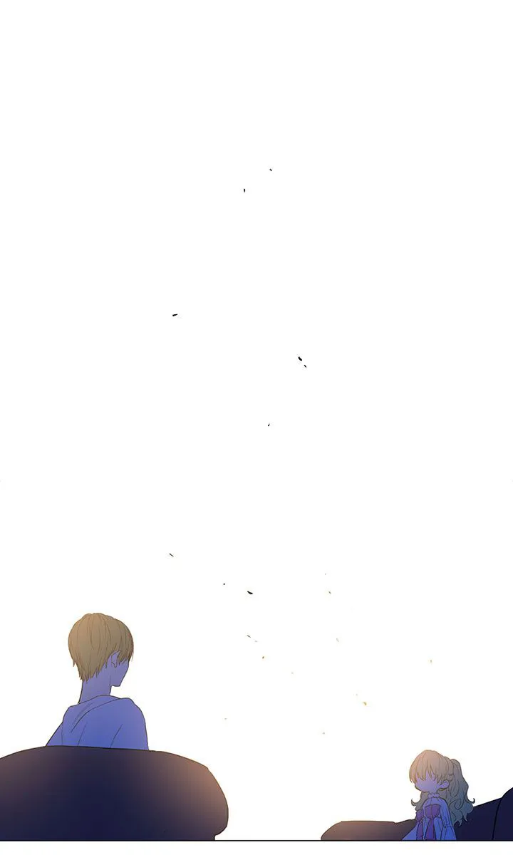 الصفحة 11 من 42
