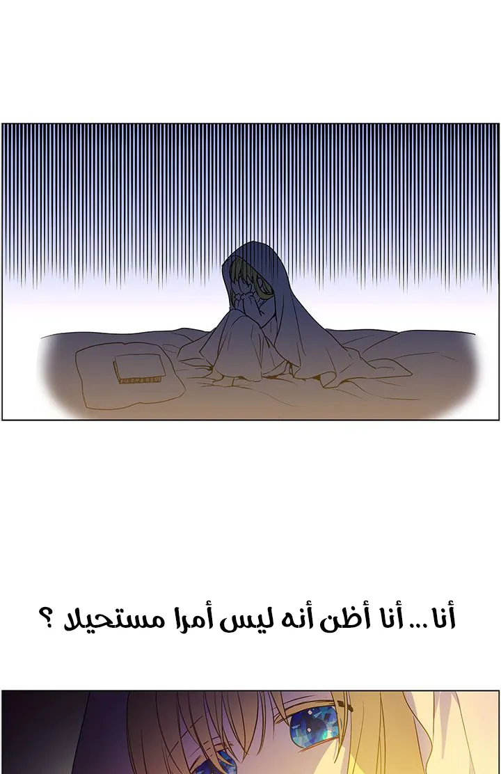 الصفحة 36 من 42