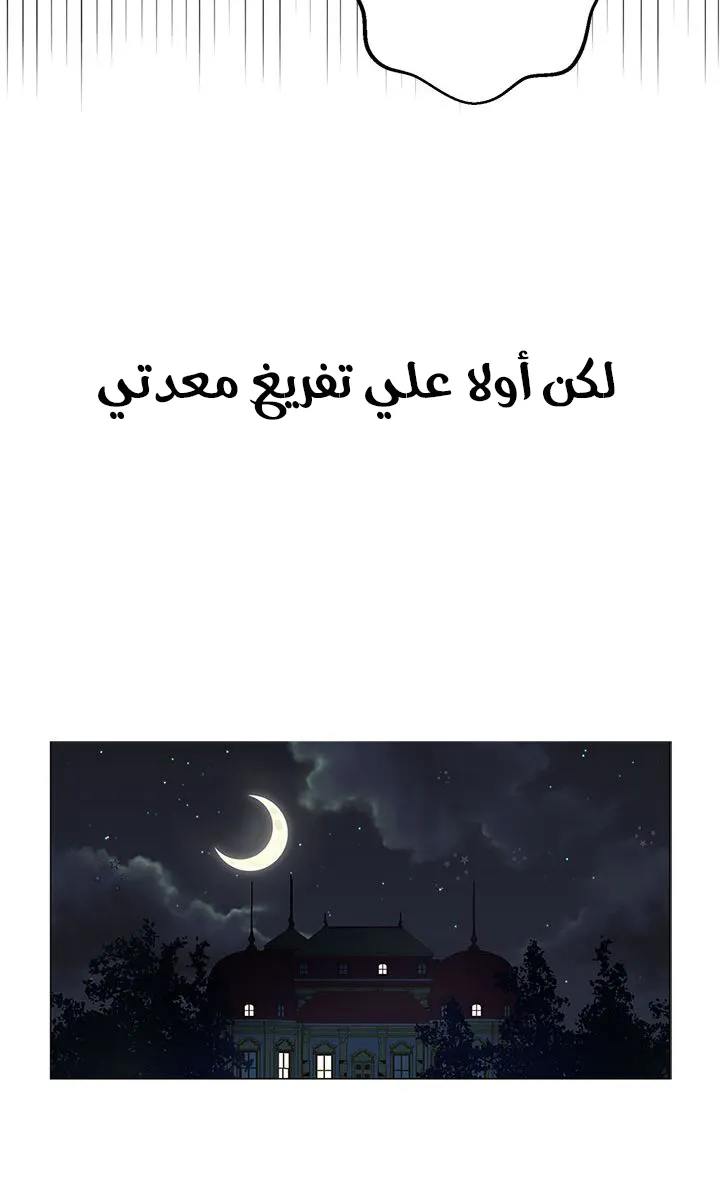 الصفحة 28 من 42