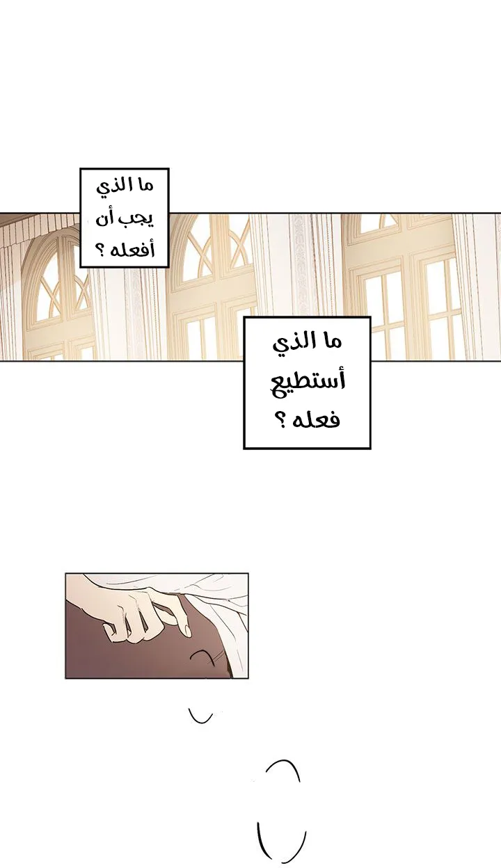 الصفحة 2 من 42