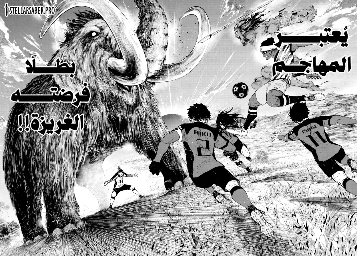 الصفحة 13 من 19