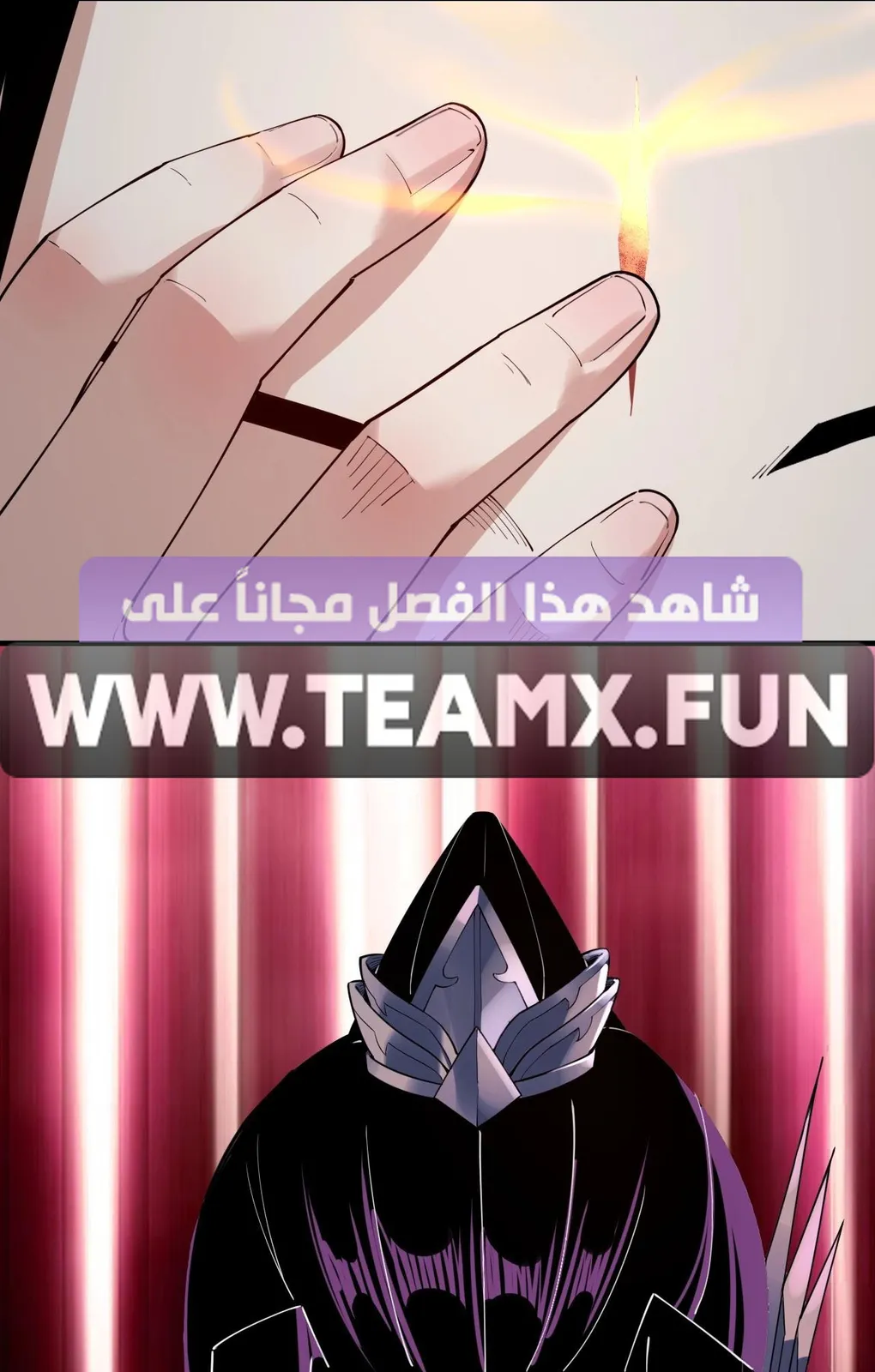 الصفحة 43 من 56