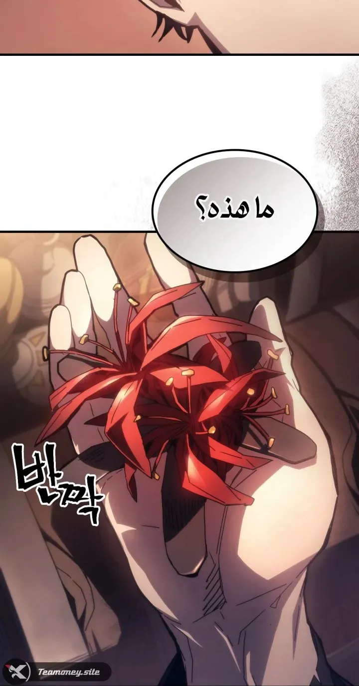 الصفحة 62 من 63