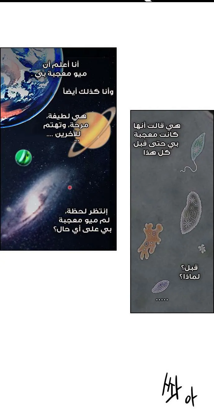 الصفحة 25 من 52