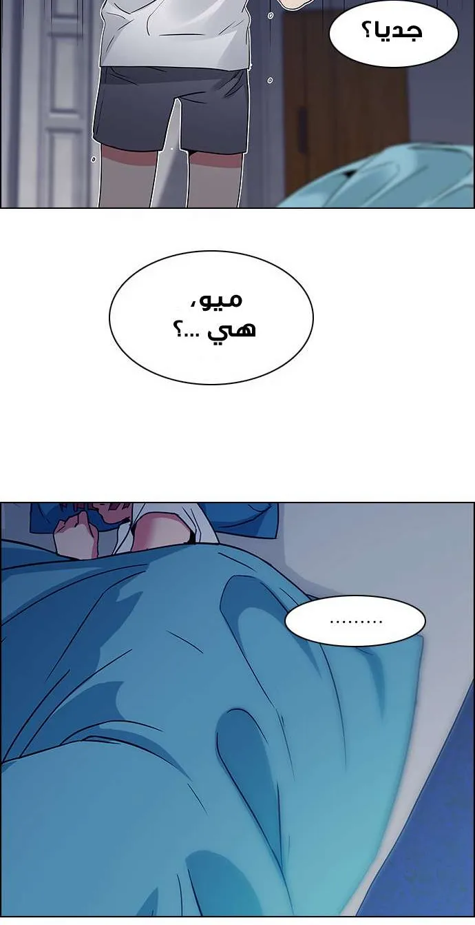 الصفحة 31 من 52