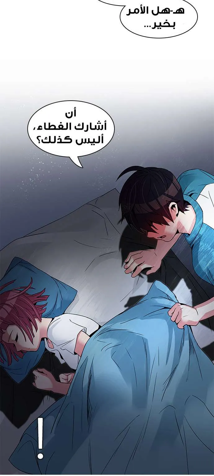 الصفحة 41 من 52