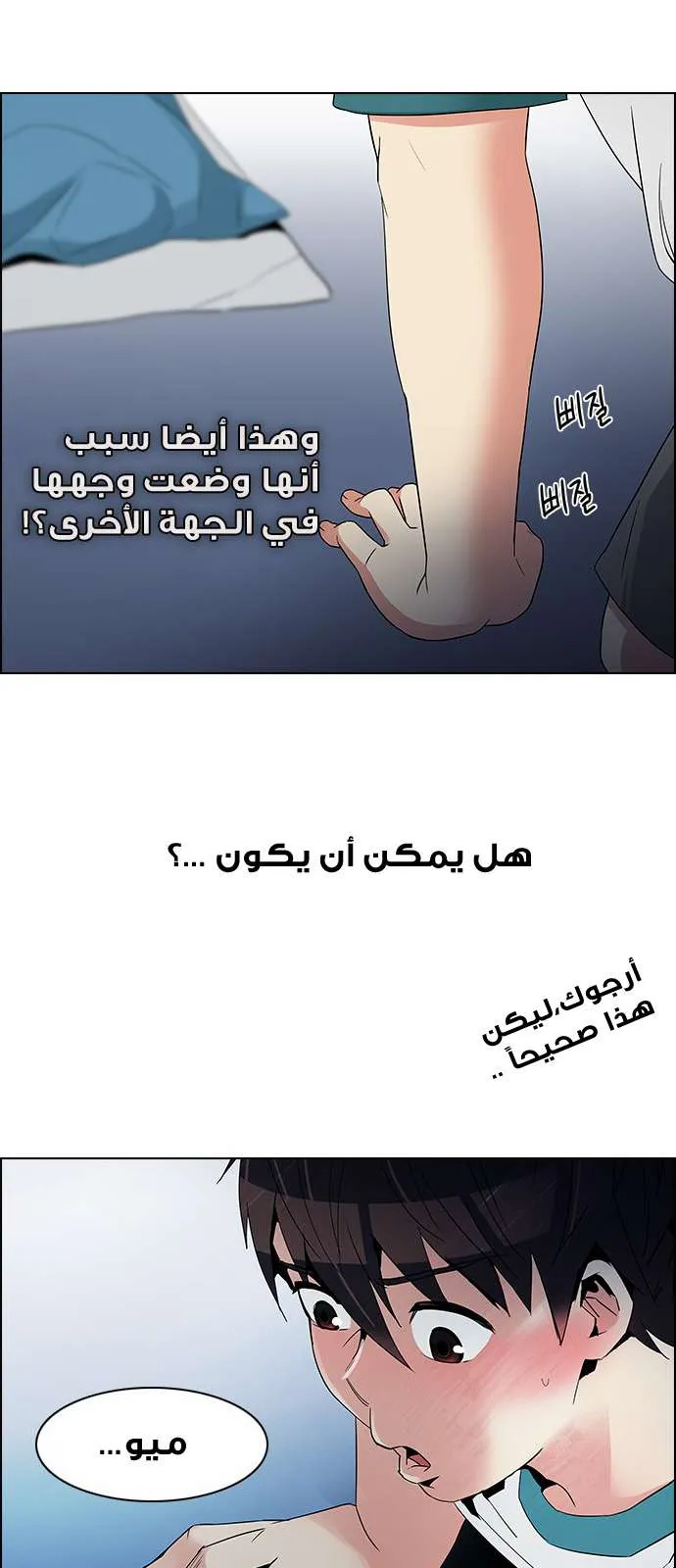 الصفحة 36 من 52