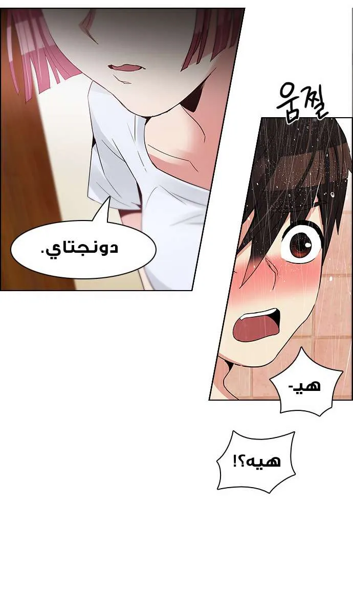 الصفحة 20 من 52