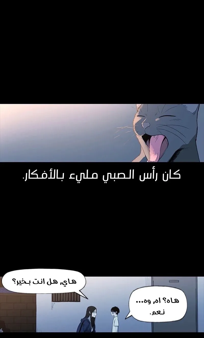 الصفحة 29 من 89