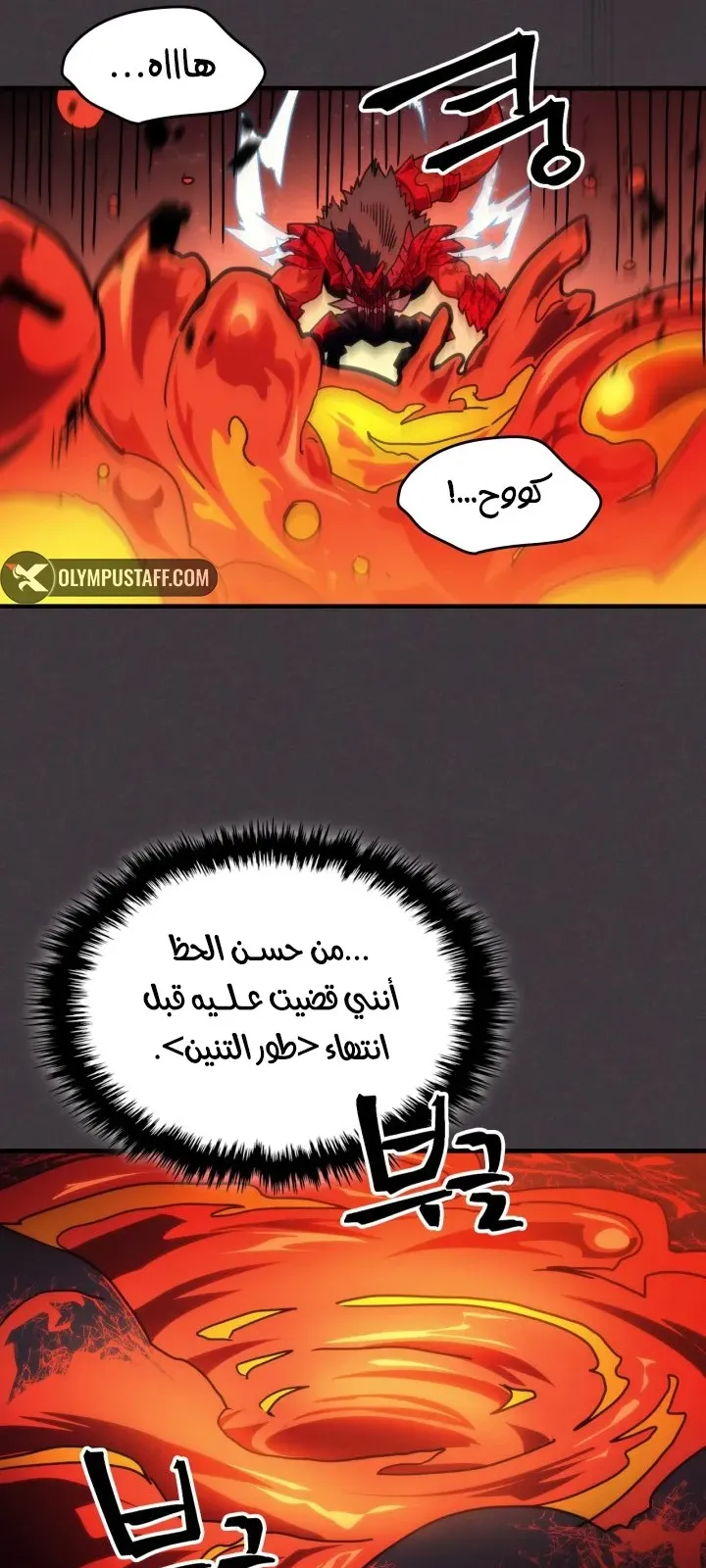 الصفحة 44 من 77
