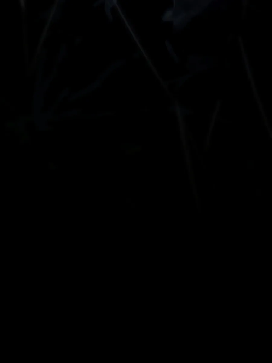 الصفحة 132 من 188