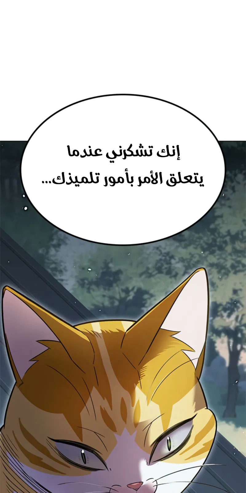 الصفحة 126 من 133