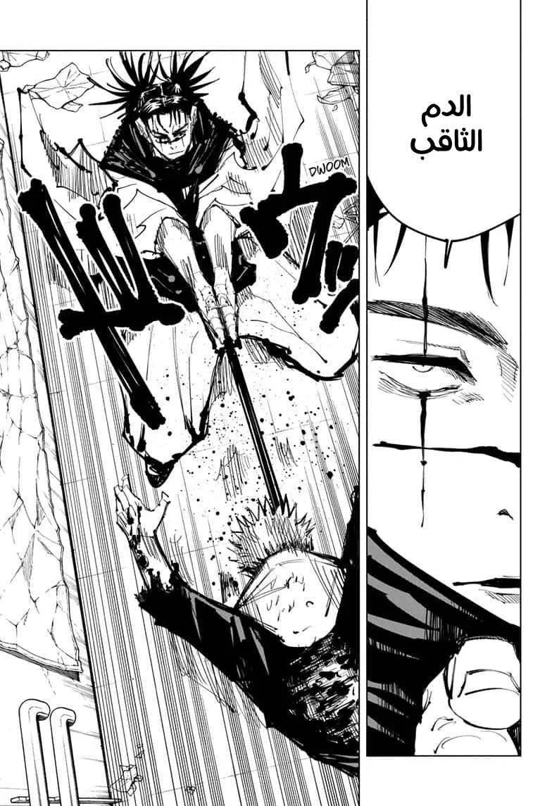 الصفحة 17 من 19