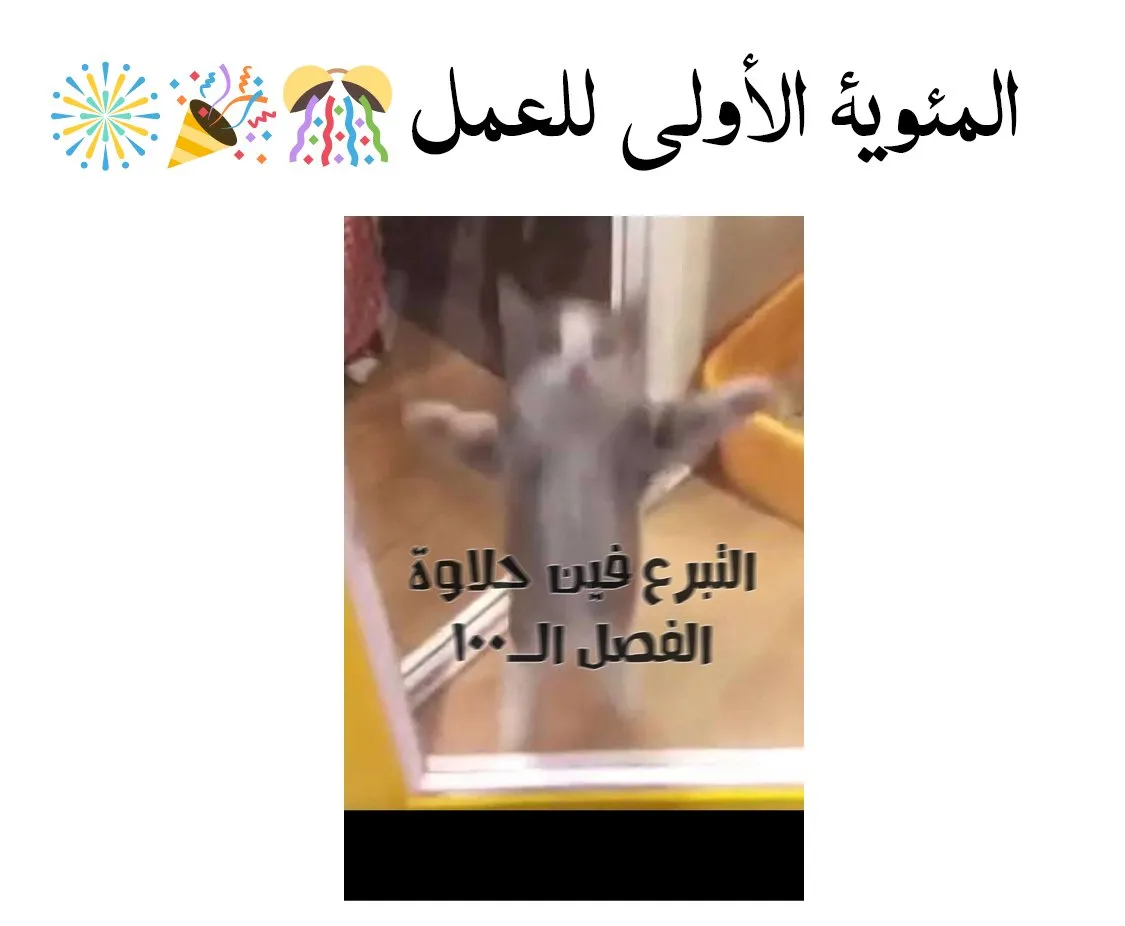 الصفحة 77 من 77