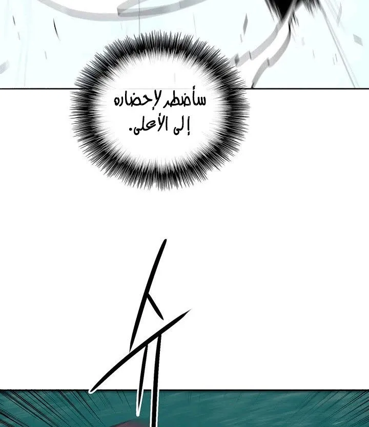 الصفحة 14 من 101
