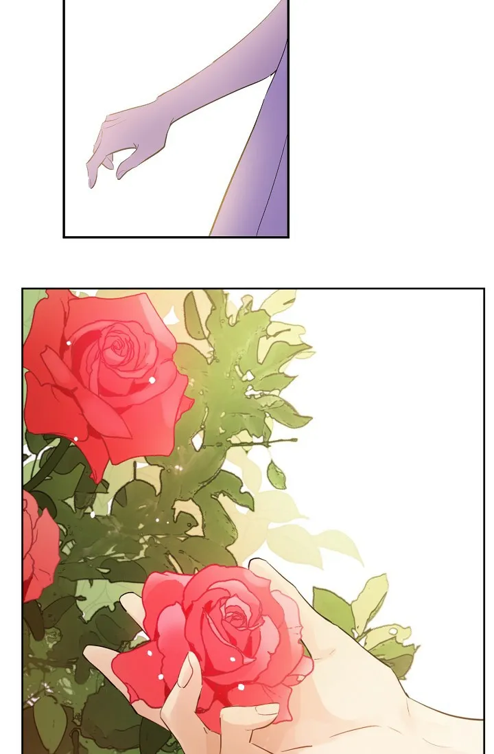 الصفحة 67 من 98