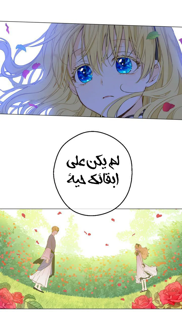 الصفحة 29 من 98