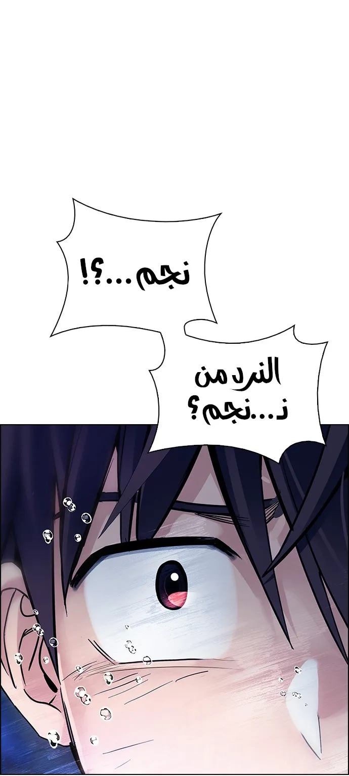الصفحة 33 من 79