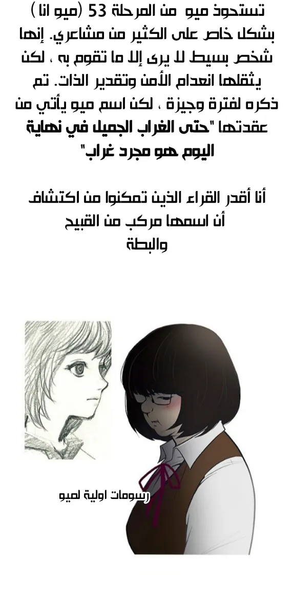 الصفحة 13 من 44