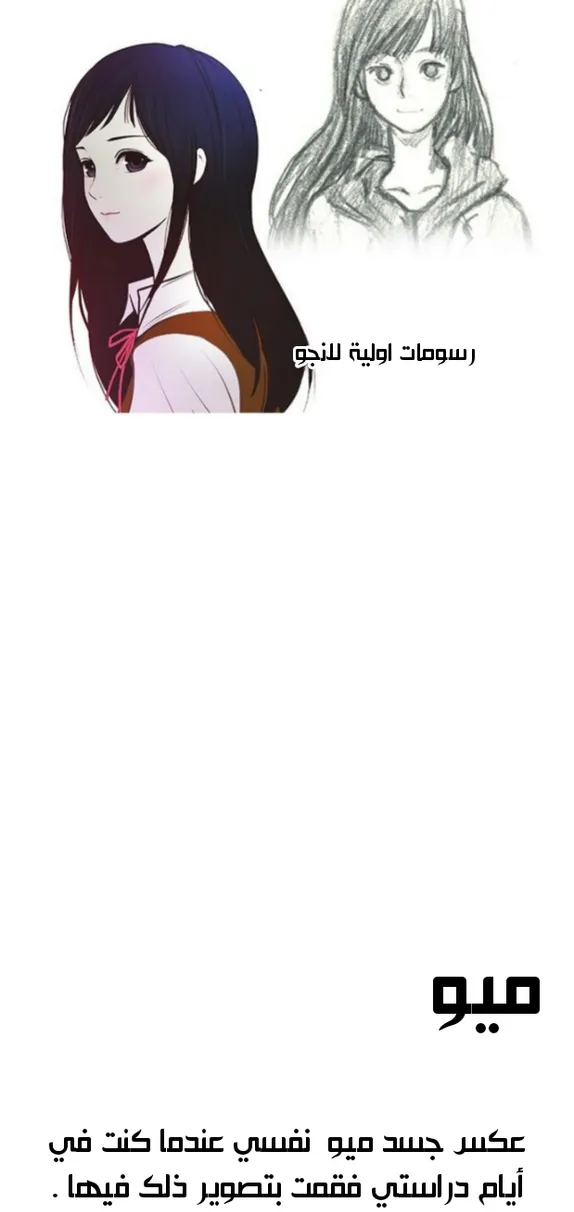 الصفحة 12 من 44