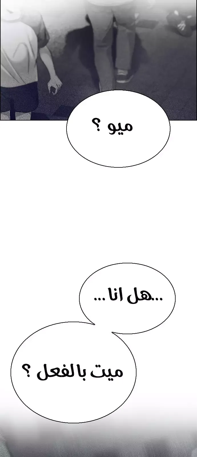 الصفحة 4 من 49