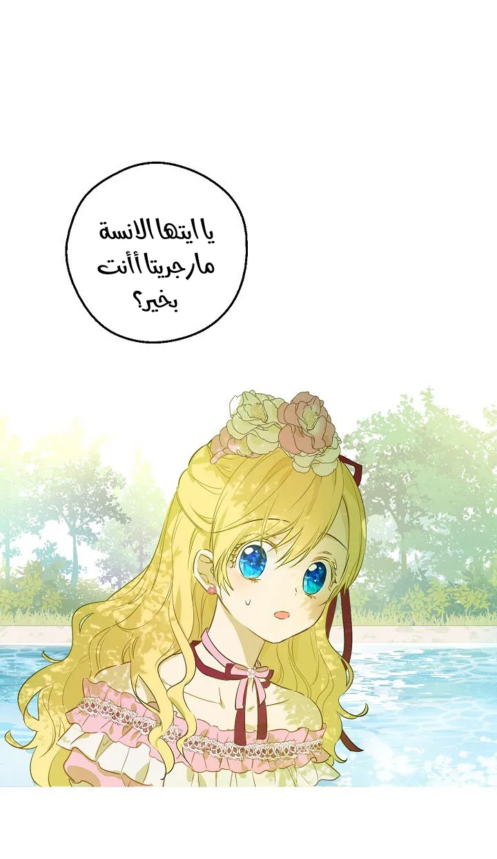 الصفحة 33 من 68