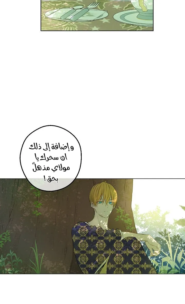 الصفحة 35 من 68