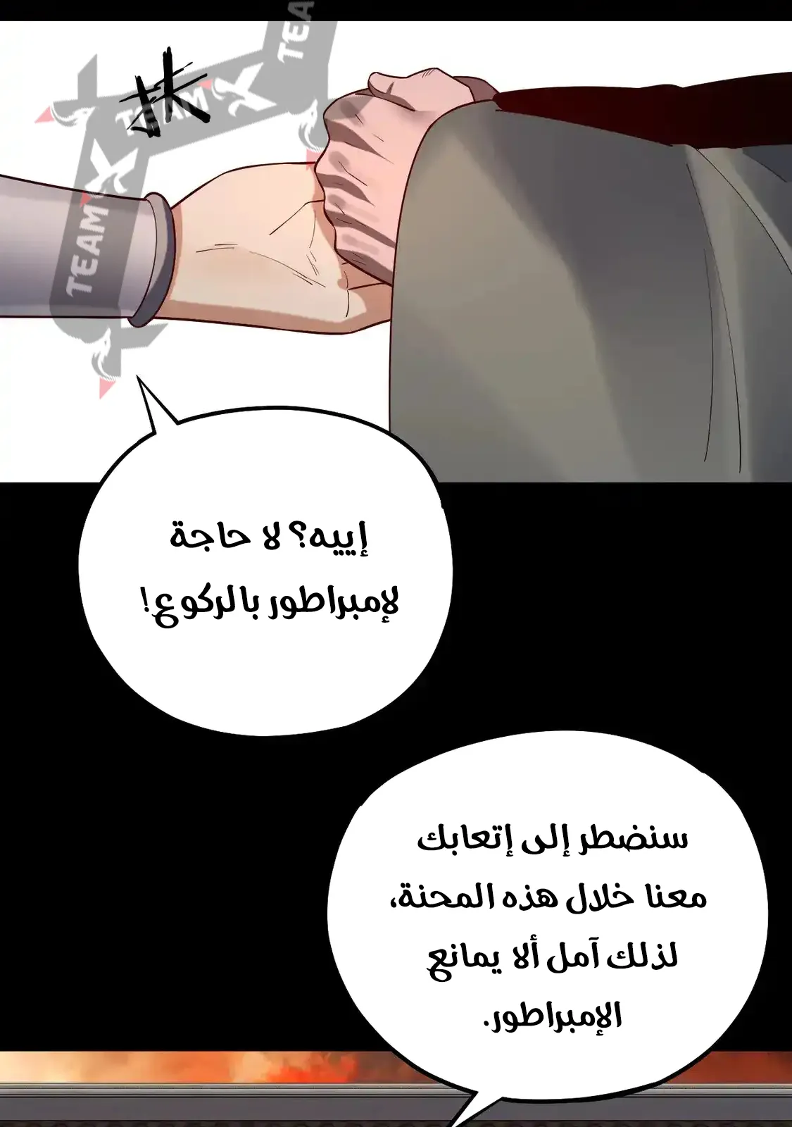 الصفحة 11 من 85