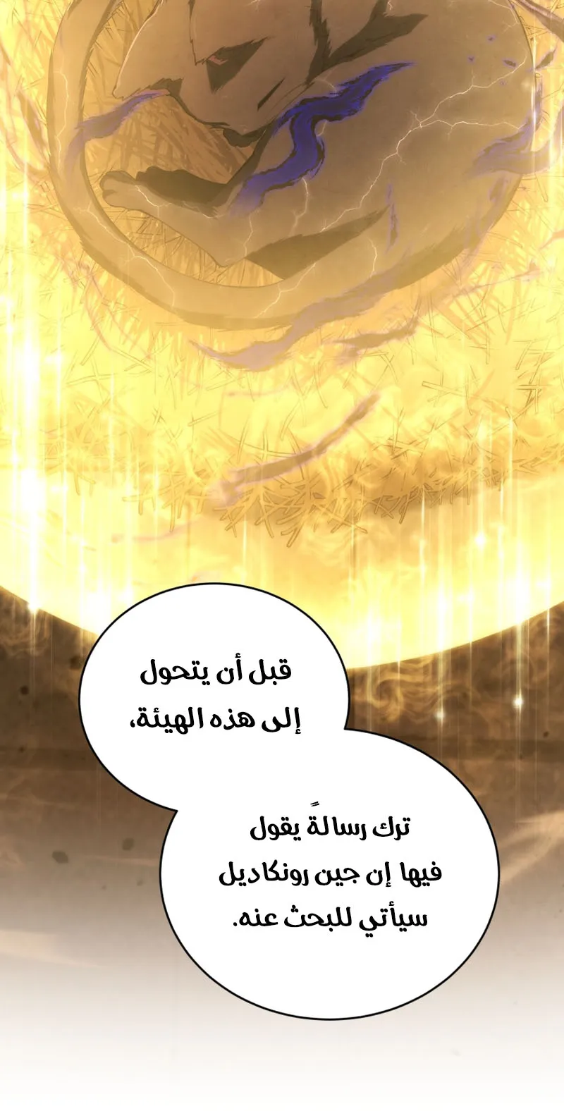 الصفحة 51 من 119