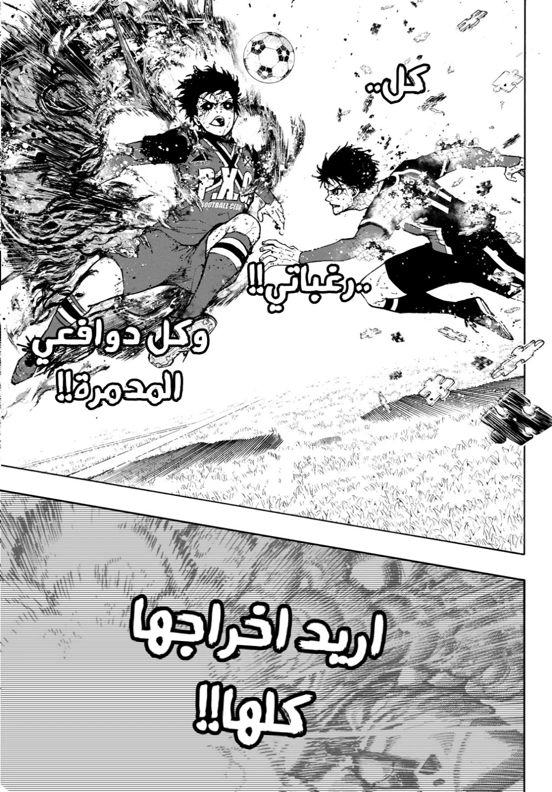 الصفحة 13 من 17