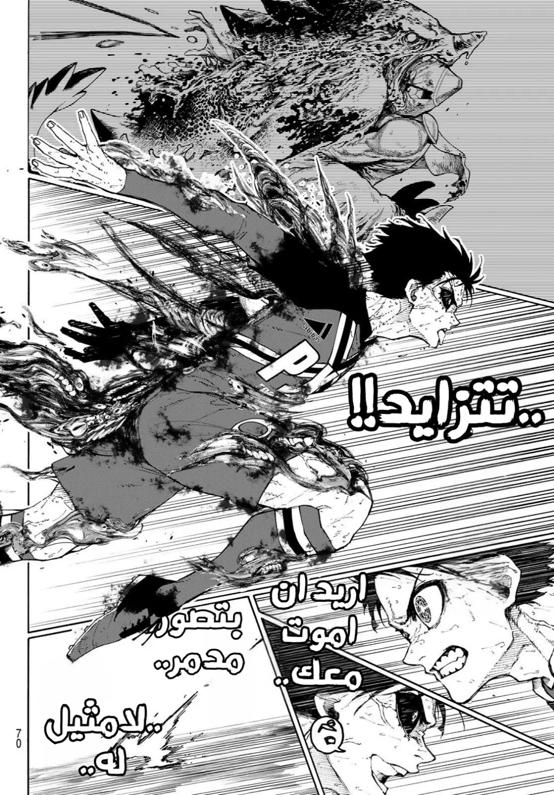 الصفحة 12 من 17