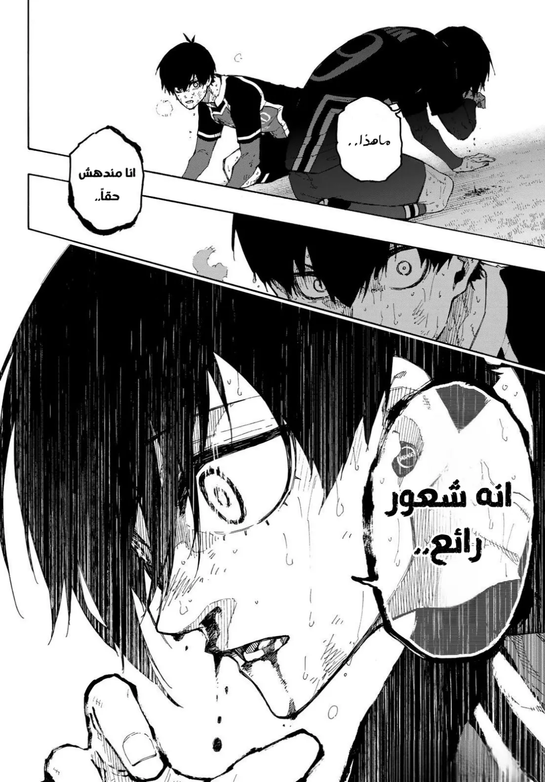 الصفحة 16 من 17