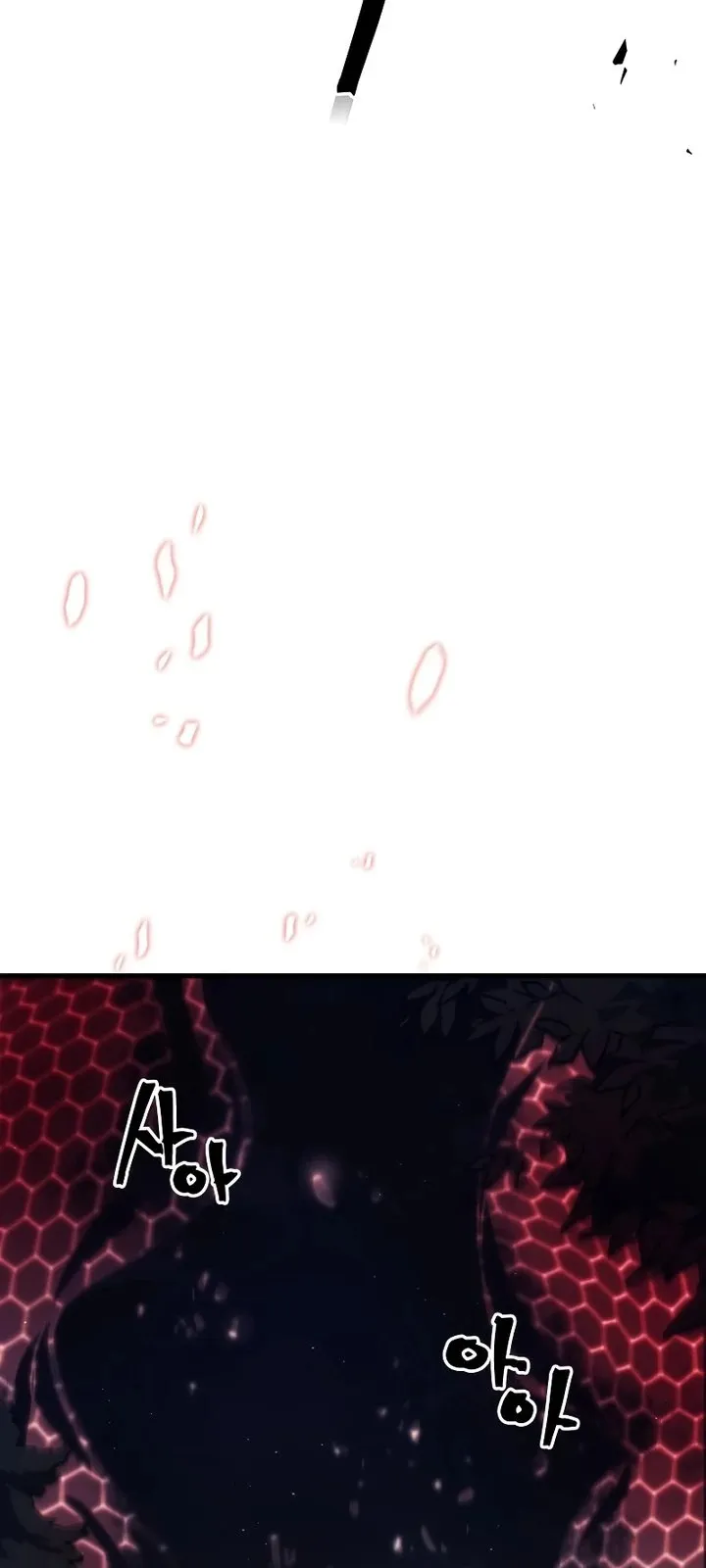الصفحة 47 من 67
